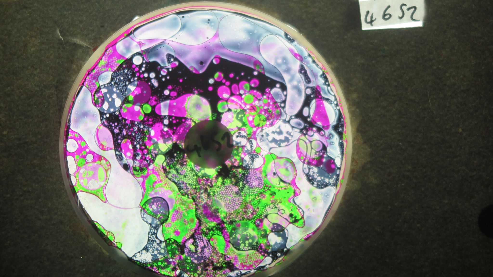 BV4652 bubble vision oil wheel